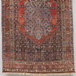 1261 2450 CARPET